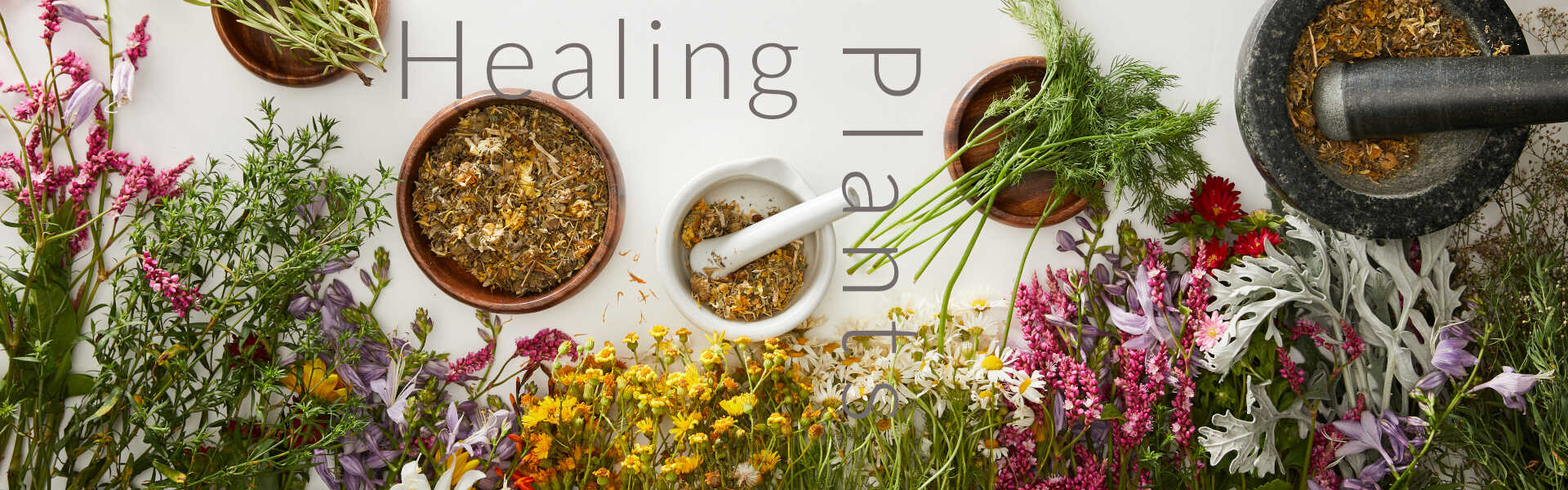 herbs that heal